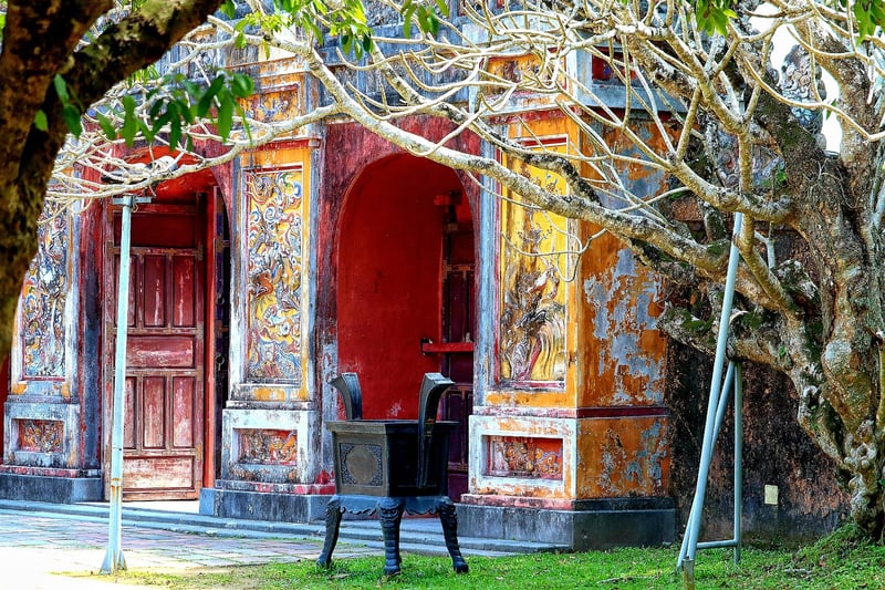 Tree Archways